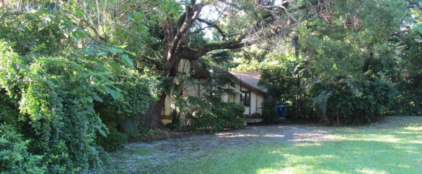 The Marjory Stoneman Douglas House nestled under tall trees with a green lawn. Credit: James Gabbert, National Park Service